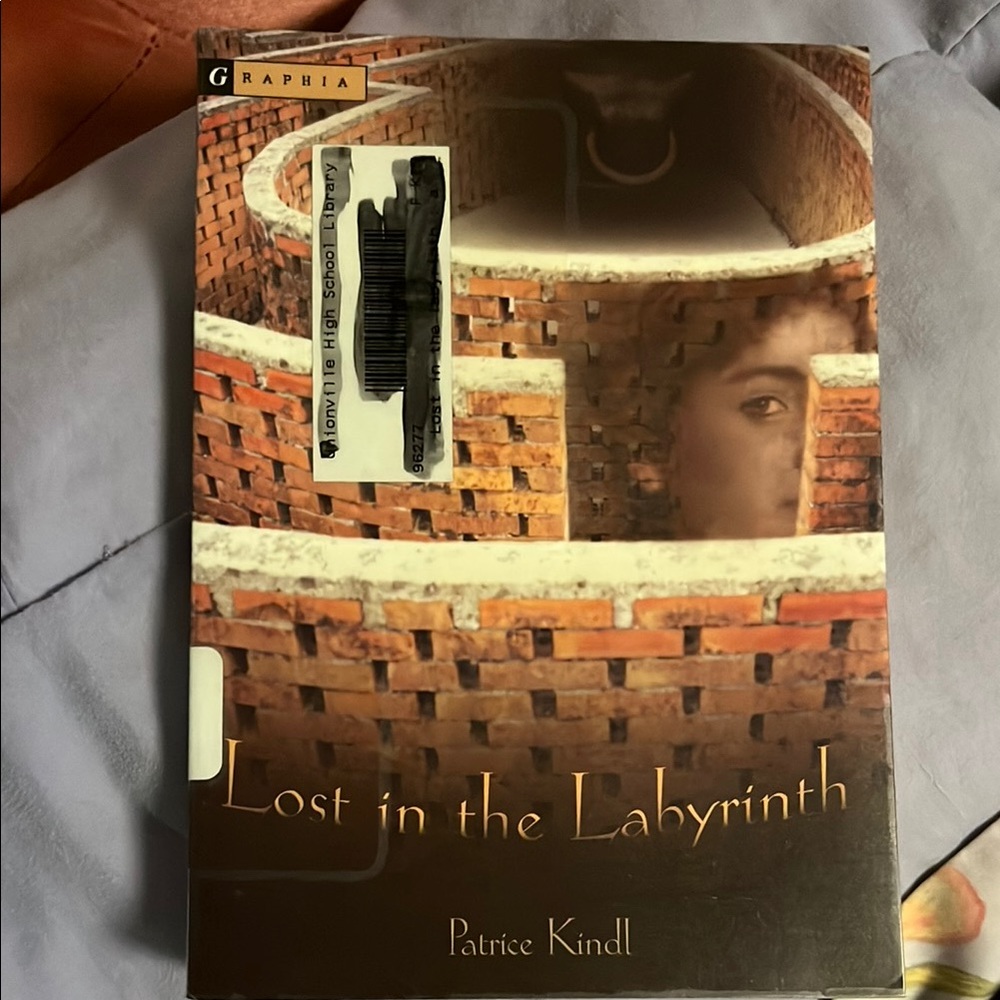 Lost in the Labyrinth Book by Patrice Kindl